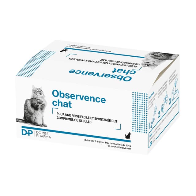 Observence chat