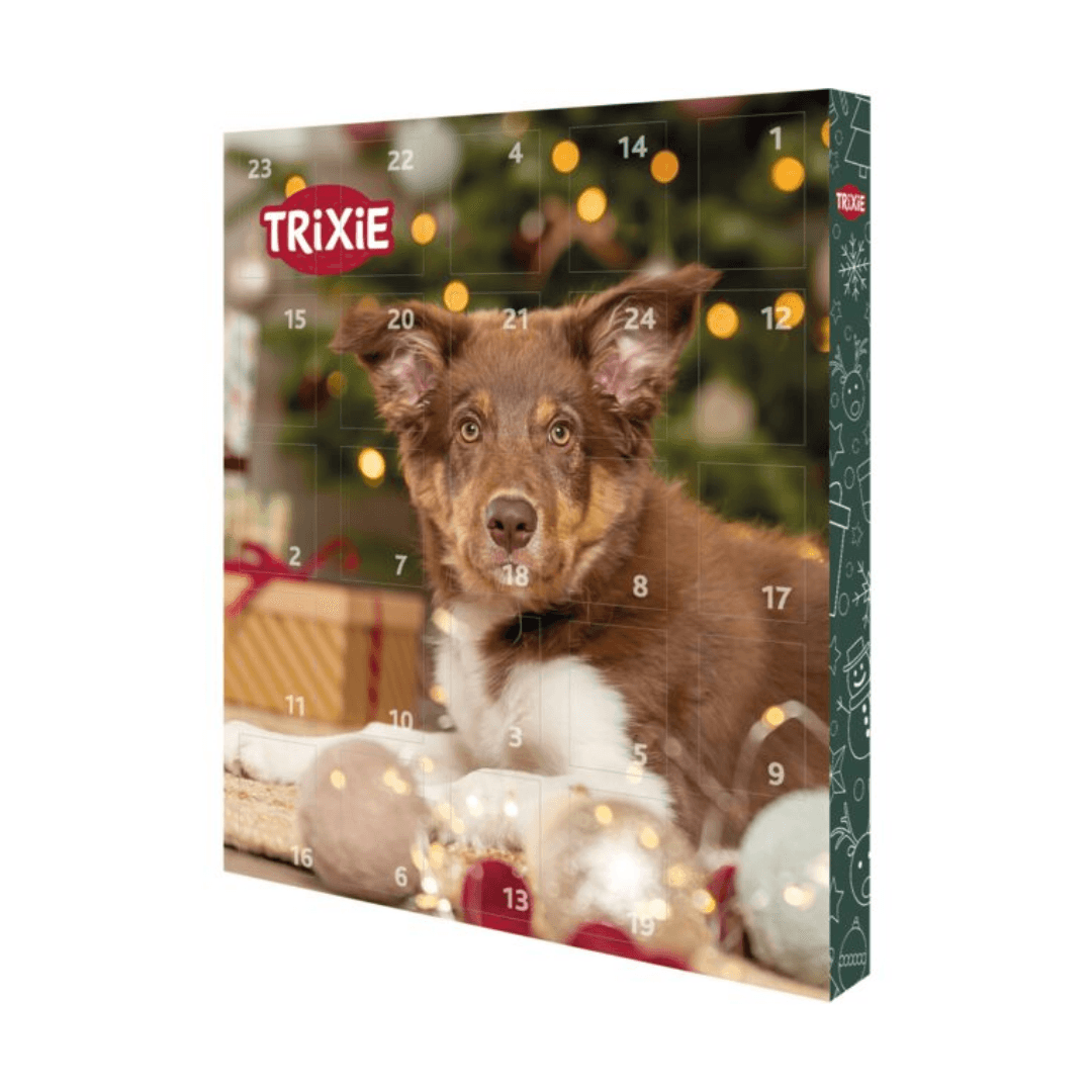 Calendrier de l'Avent pour chien