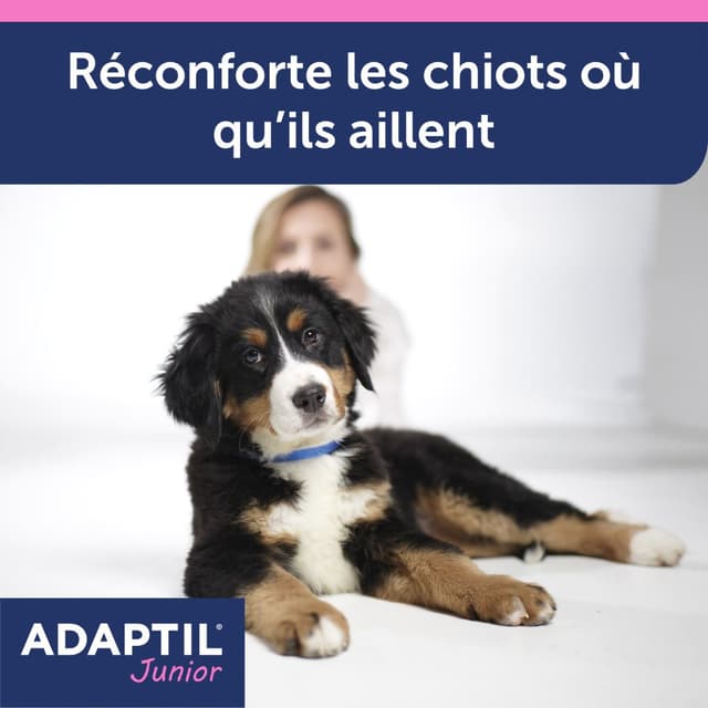 Collier anti-stress Adaptil Junior pour chiot