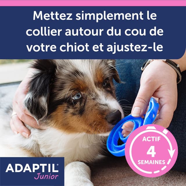 Collier anti-stress Adaptil Junior pour chiot