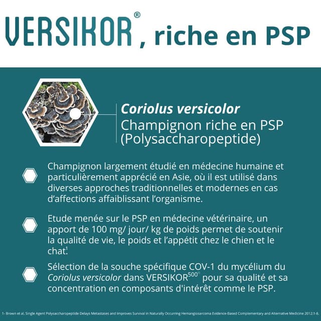Complément alimentaire Versikor 500 pour chien et chat atteints de pathologies chroniques
