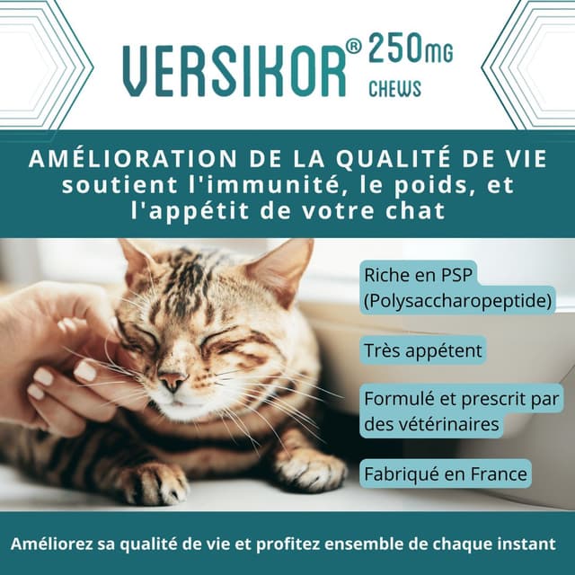 Complément alimentaire Versikor 500 pour chien et chat atteints de pathologies chroniques