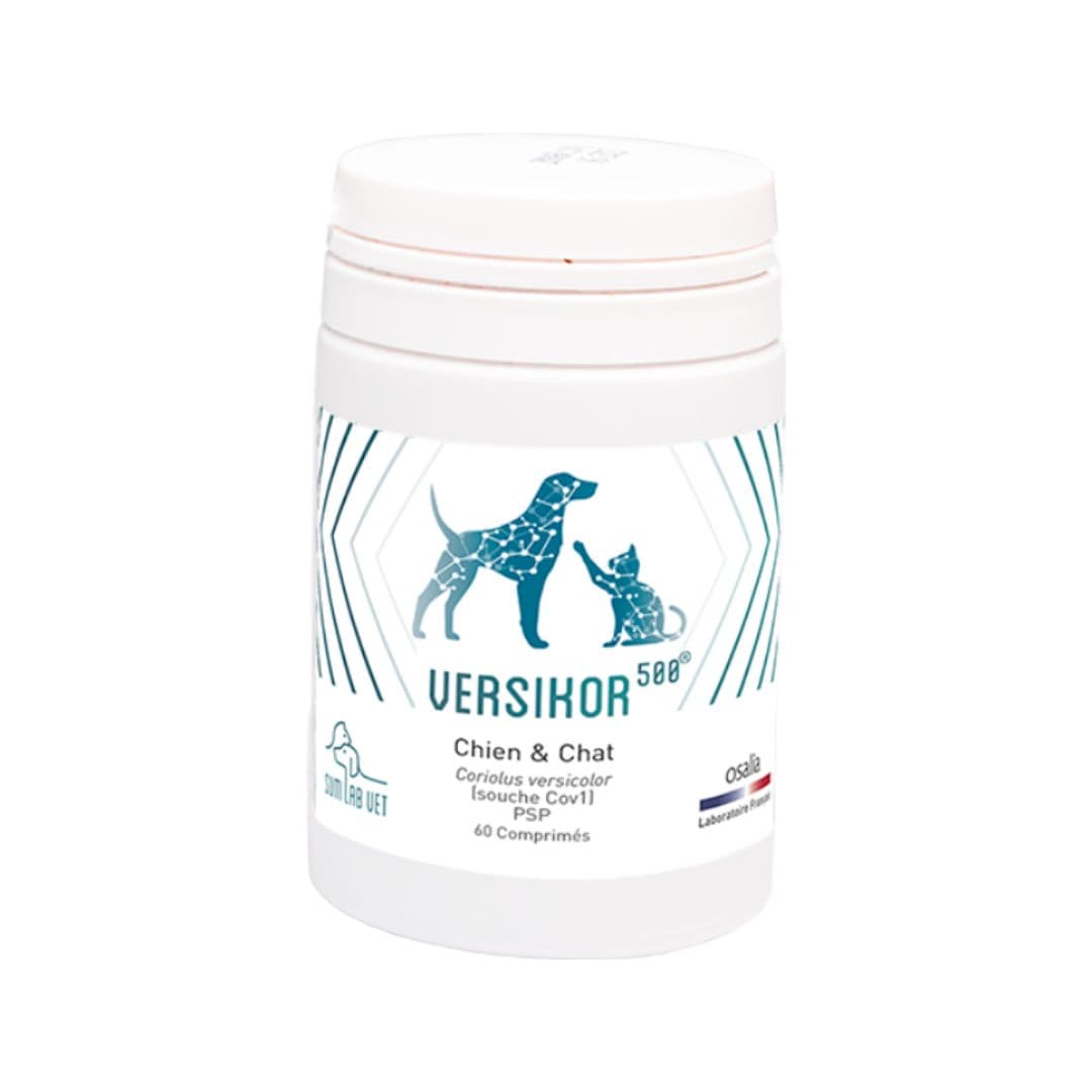 Complément alimentaire Versikor 500 pour chien et chat atteints de pathologies chroniques