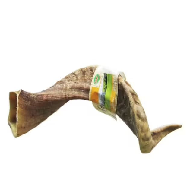 Corne de mouton pour chien