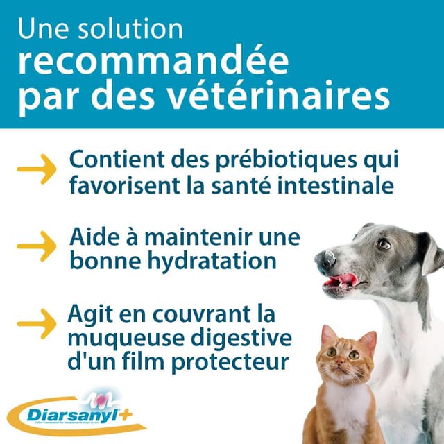 Diarsanyl pour chien et chat