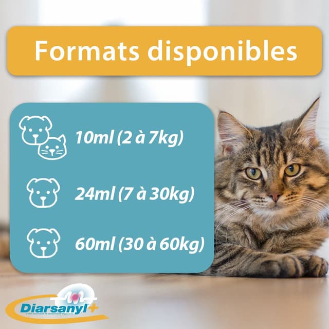 Diarsanyl pour chien et chat