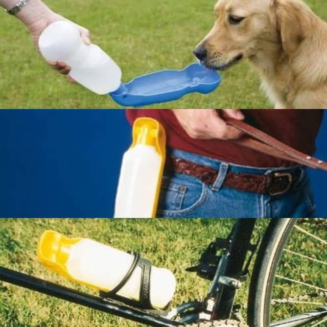 Gourde pour chien Aqua Boy