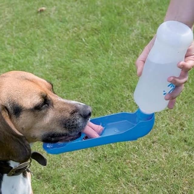 Gourde pour chien Aqua Boy