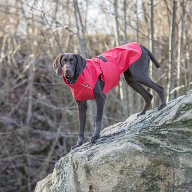Imperméable rouge pour chien