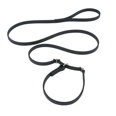Laisse lasso noire en biothane pour chien