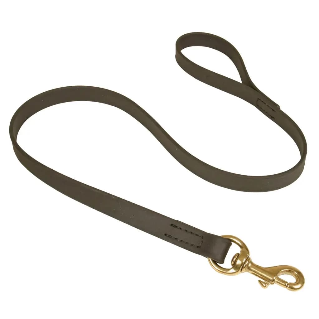 Laisse noire en Biothane pour chien