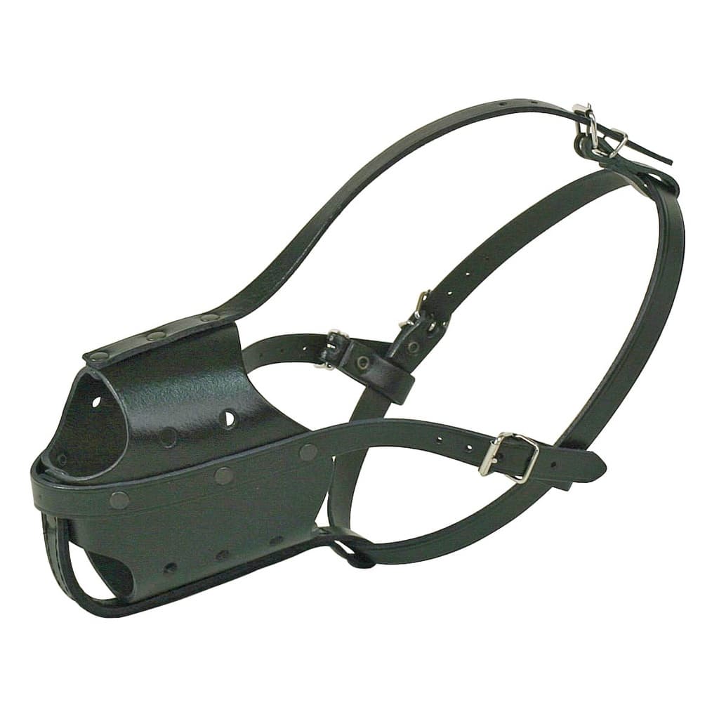 Muselière chien type police