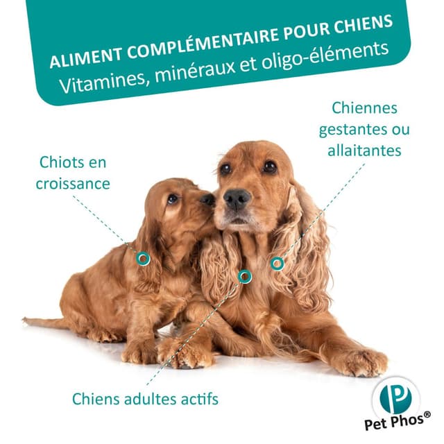Pet Phos CA/P=1,3 croissance chiot et chienne