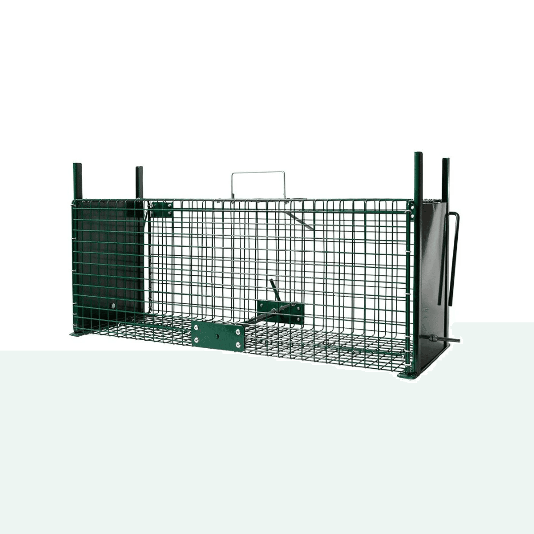Piège de capture animal errant double entrée 64cm de long
