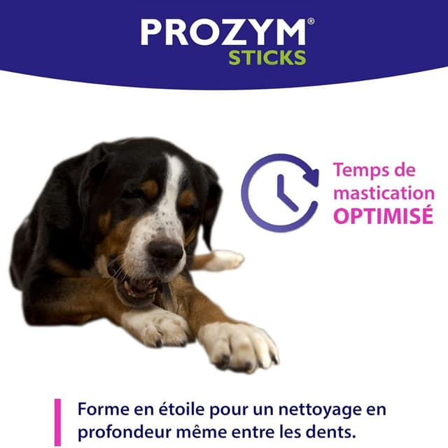Prozym RF2 Stick dentaire pour chien