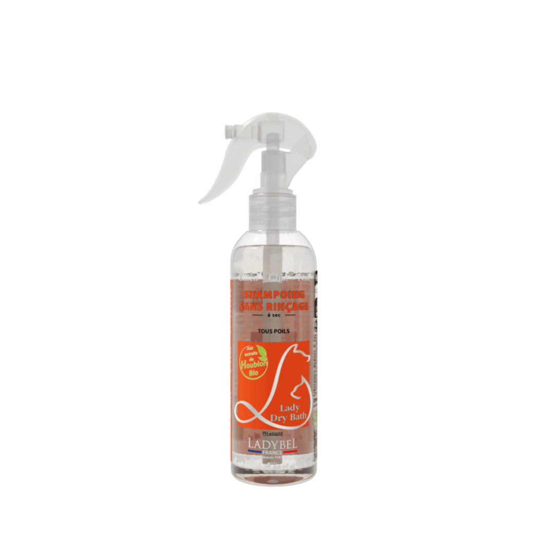 Shampoing sec pour chien et chat Lady Dry Bath