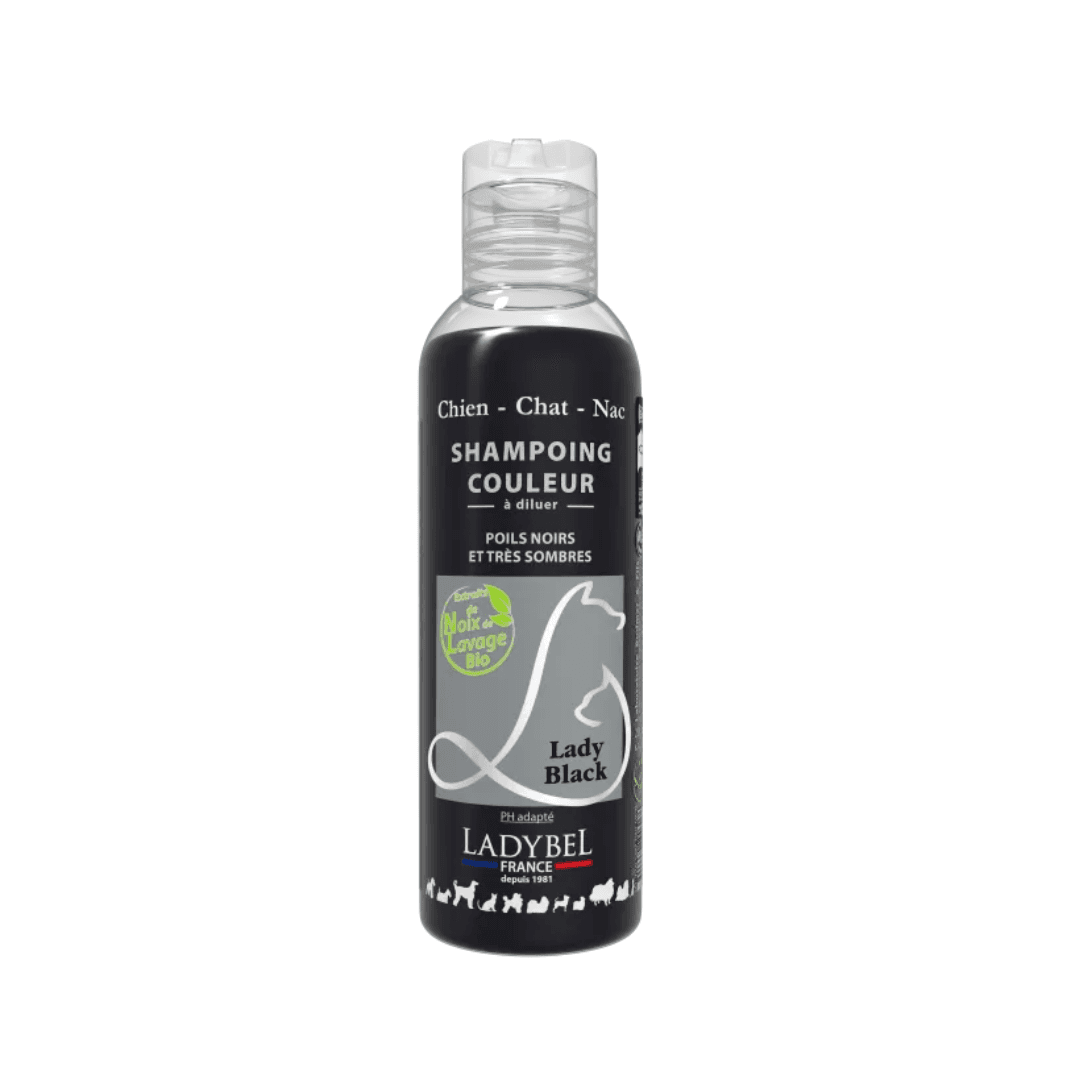 Shampooing Ladybel colorant Noir aux protéines pour chien et chat