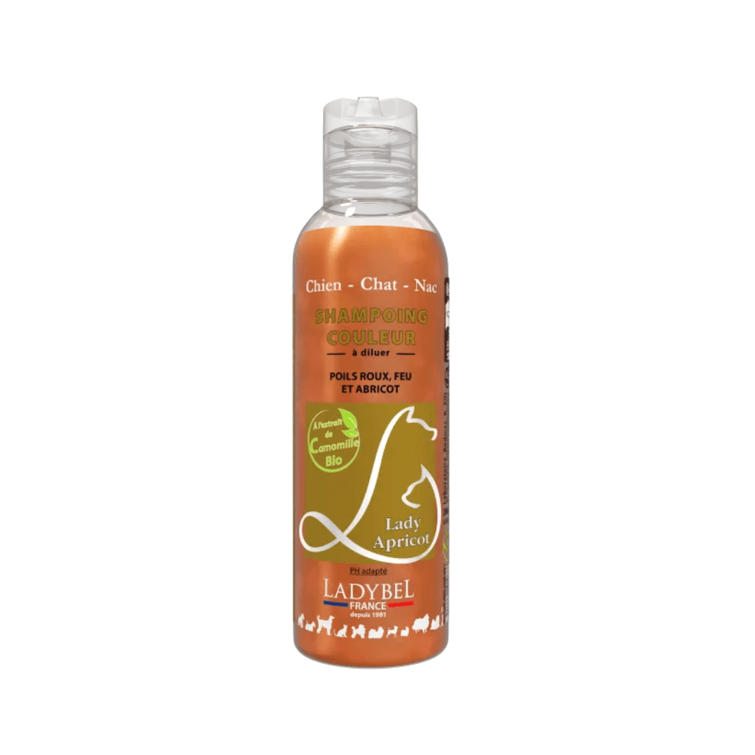 Shampooing Ladybel couleur protéine pour chien et chat