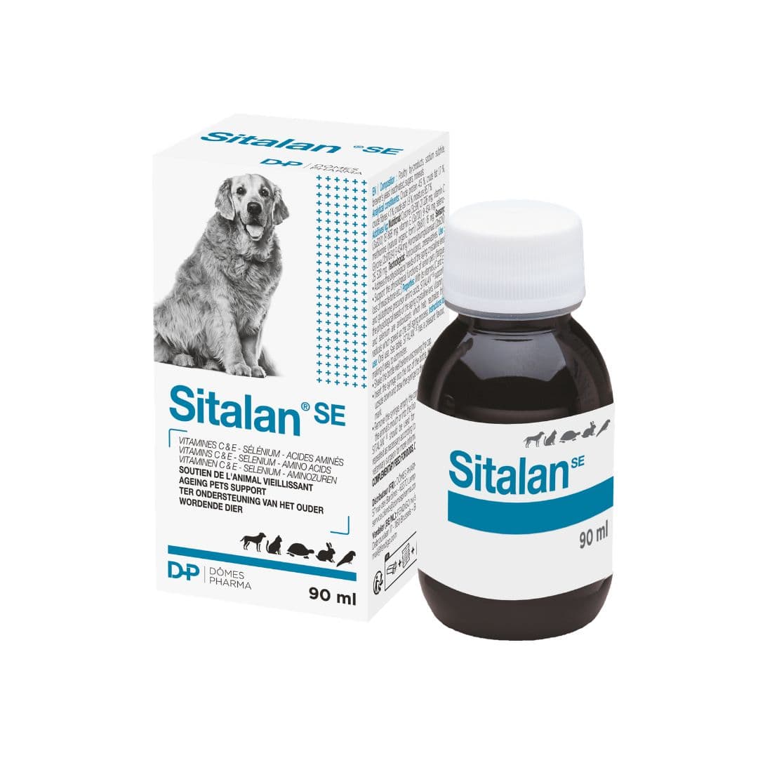 Sitalan pour chiens et chats âgés