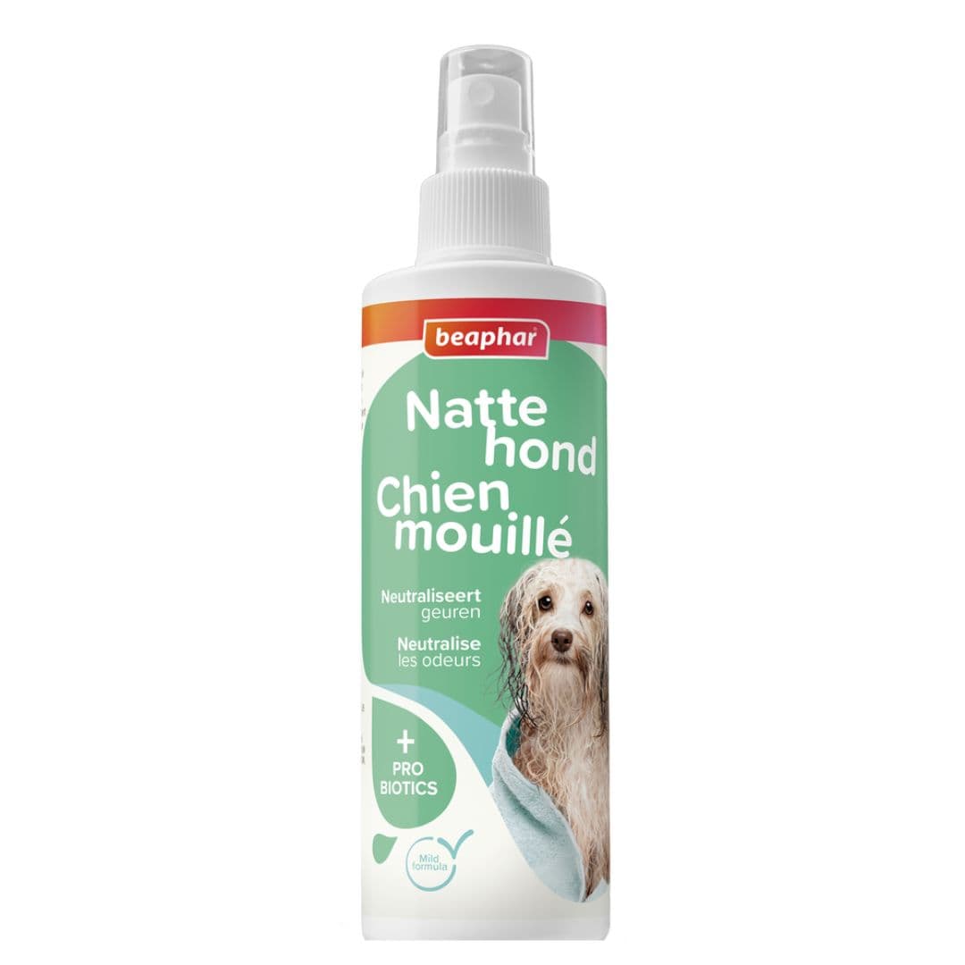 Spray Beaphar sans rinçage pour chien mouillé