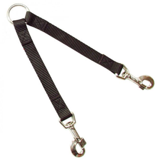 Accouple pour chien avec sangle nylon