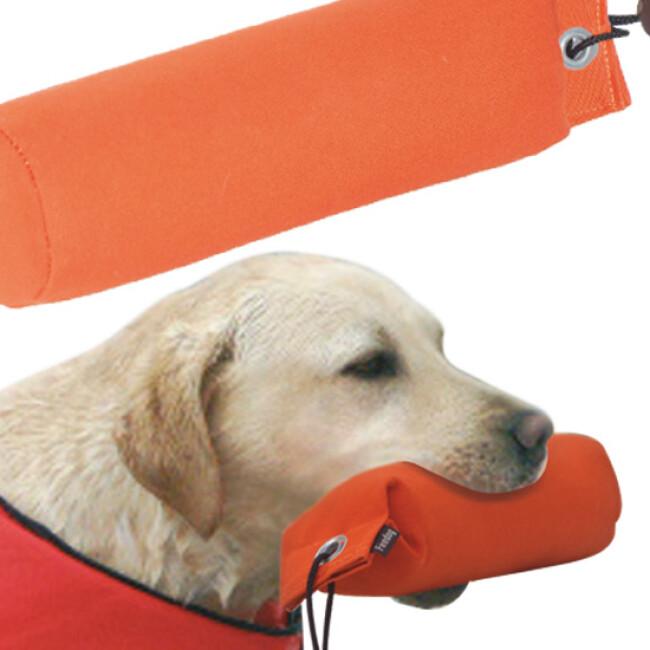 Apportable flottant en tissu pour chien