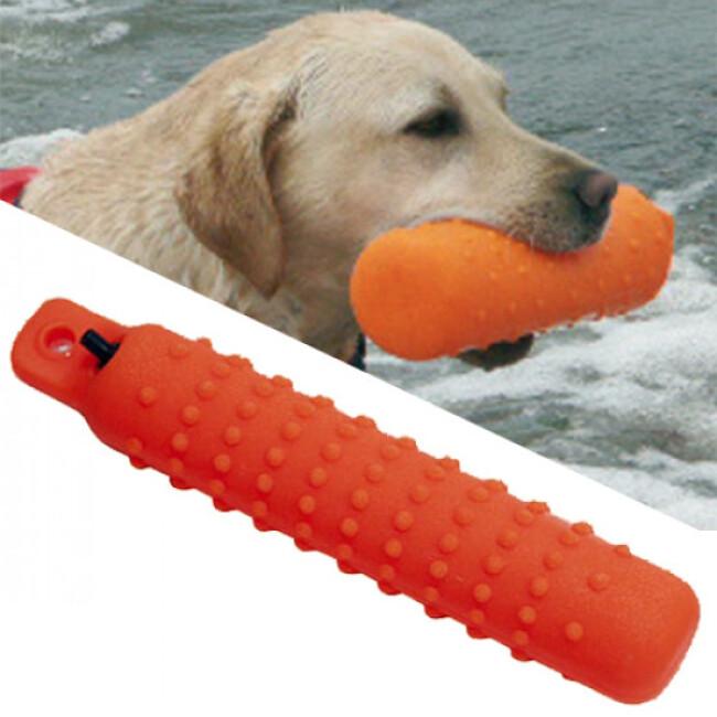 Apportable flottant vinyle pour chien