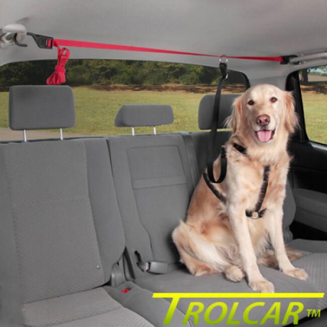 Attache trolley de sécurité automobile pour chien Trolcar™