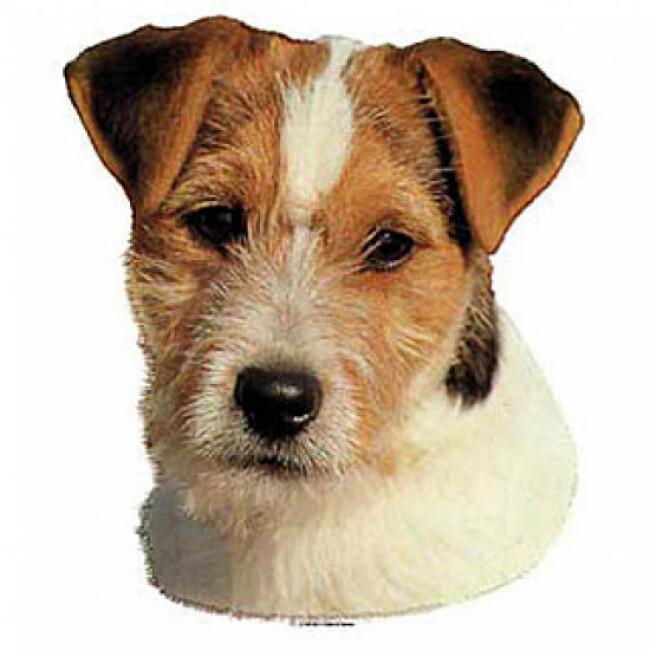 Autocollant race Jack Russel Terrier