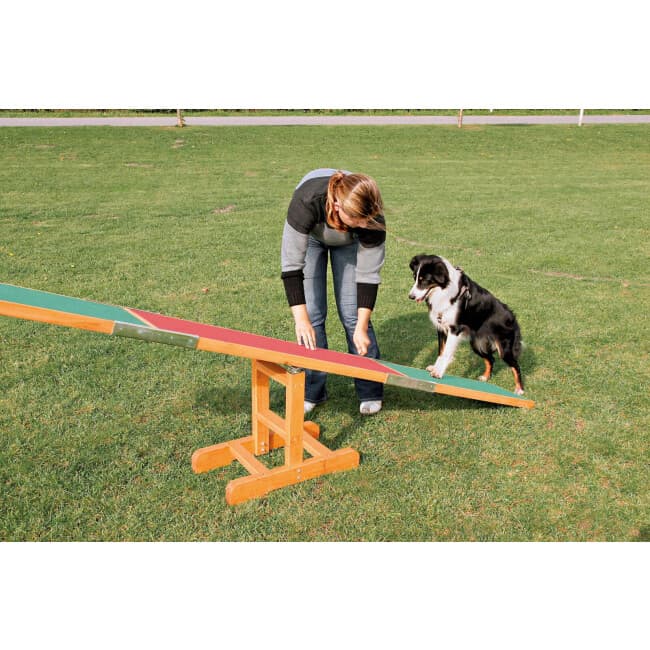 Bascule agility pour chien