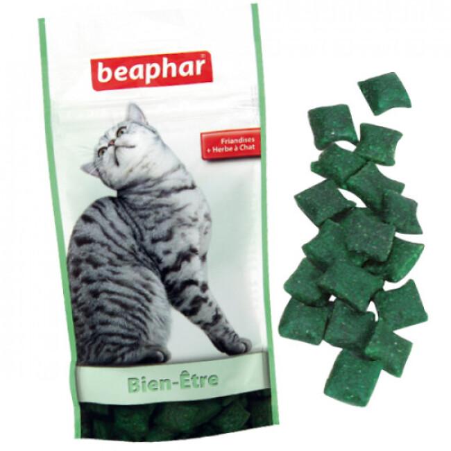 Bien-être friandises Catnip-bits pour chat