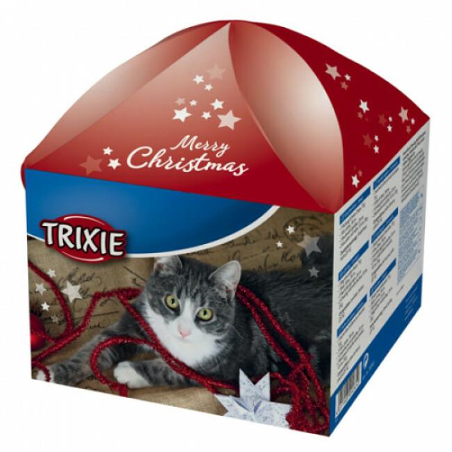 Boîte cadeau de Noël pour chats