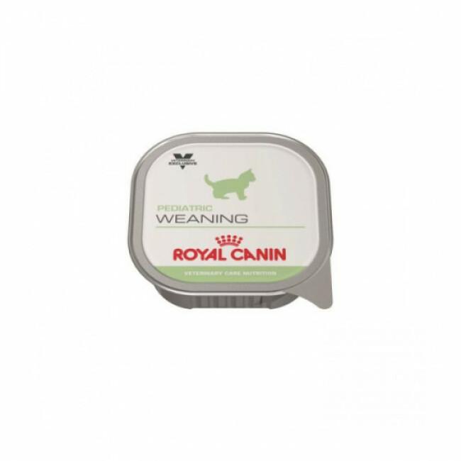 Boîtes pour chatons Royal Canin Veterinary Care Pediatric Weaning 12 boîtes 195 g