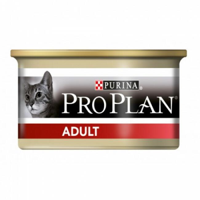 Boîtes pour chats adulte ProPlan poulet 24 boîtes 85 g