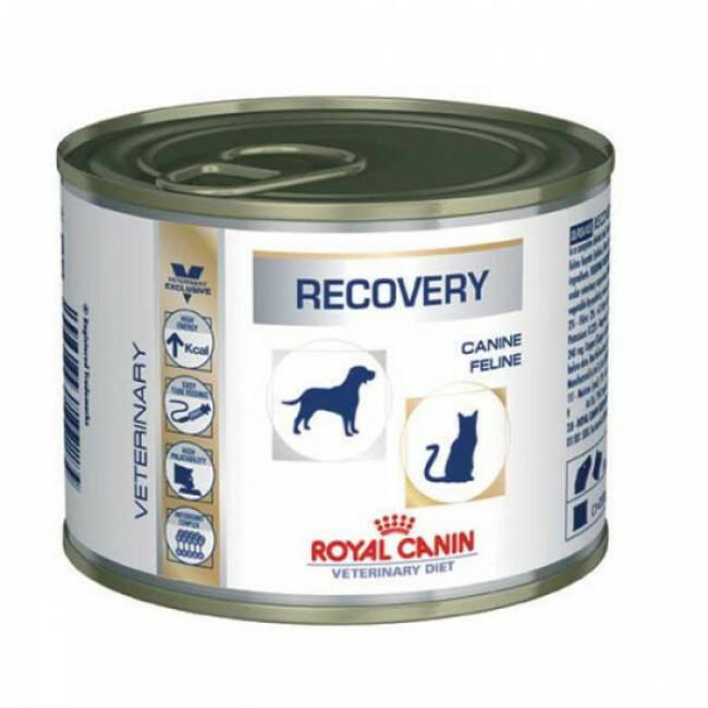 Boîtes pour chiens et chats Royal Canin Veterinary Diet Recovery - lot de 12 * 195 g