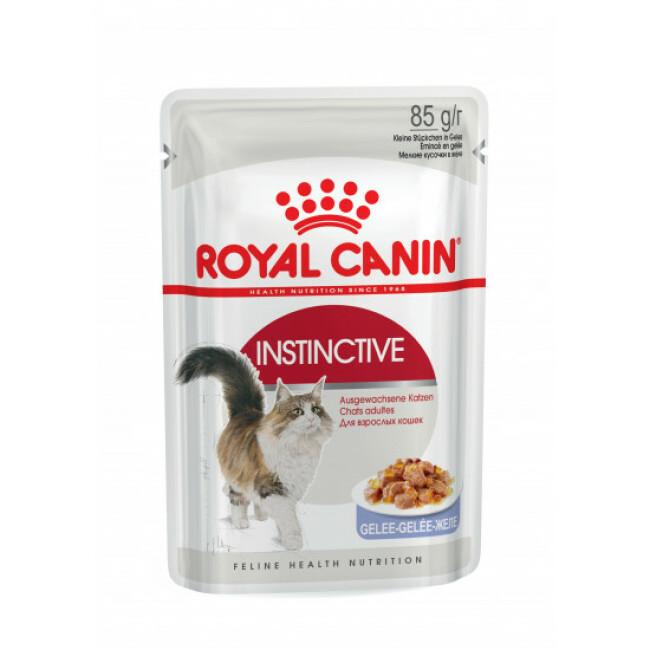 Bouchées en gelée pour chat Royal Canin Instinctive