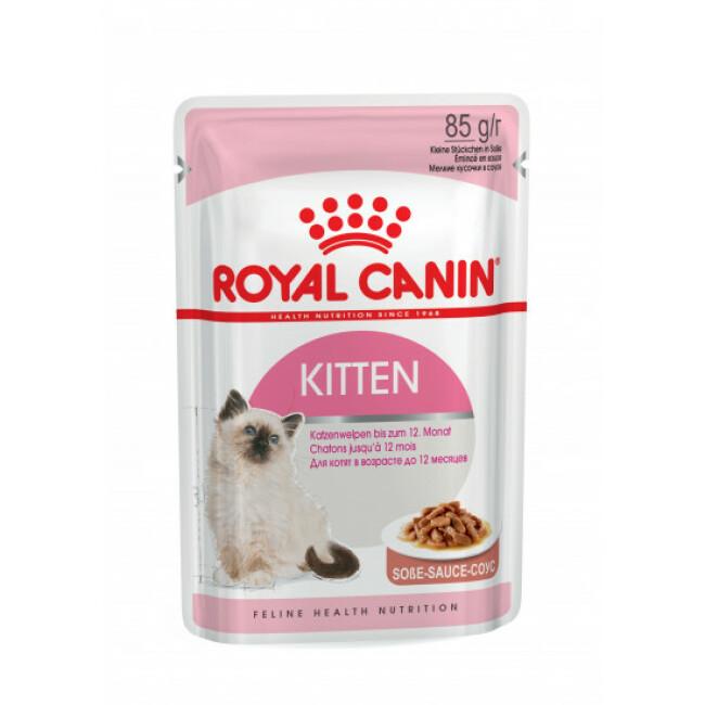 Bouchées pour chats Royal Canin Kitten 12 Sachets 85 g