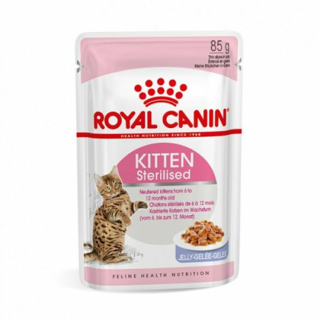 Bouchées Royal Canin Kitten Sterilised - 12 sachets 85 g