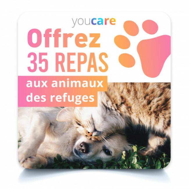 Carte de dons - Offrez 35 repas aux animaux des refuges