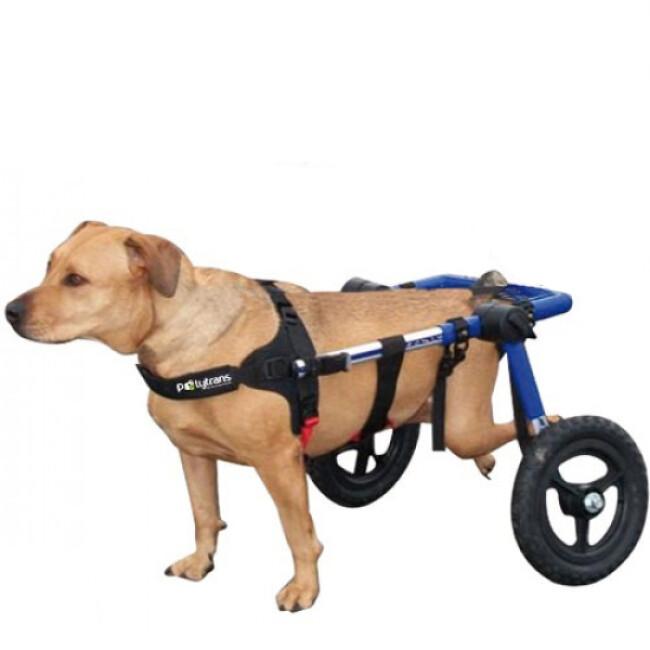Chariot Canis-Cart Liberty