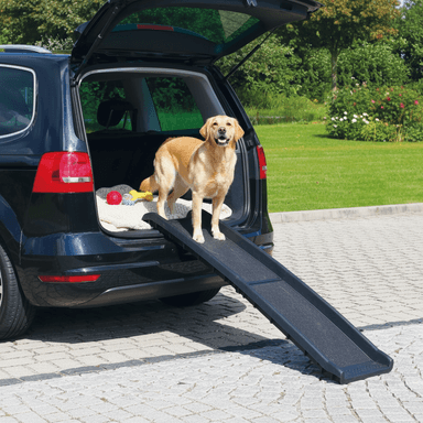 Rampe d'accès pour chien handicapé