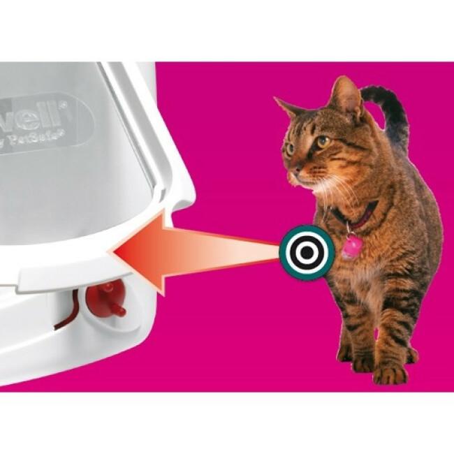 Collier avec clé infrarouge supplémentaire pour chatière Petsafe Staywell 500