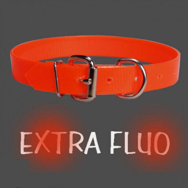 Collier chien extra fluo