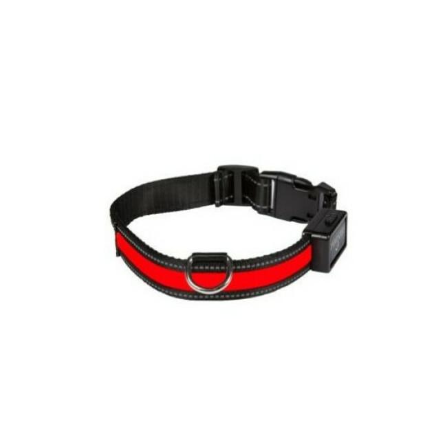 Collier lumineux rechargeable Eyenimal rouge pour chien