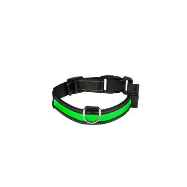 Collier lumineux rechargeable Eyenimal vert pour chien