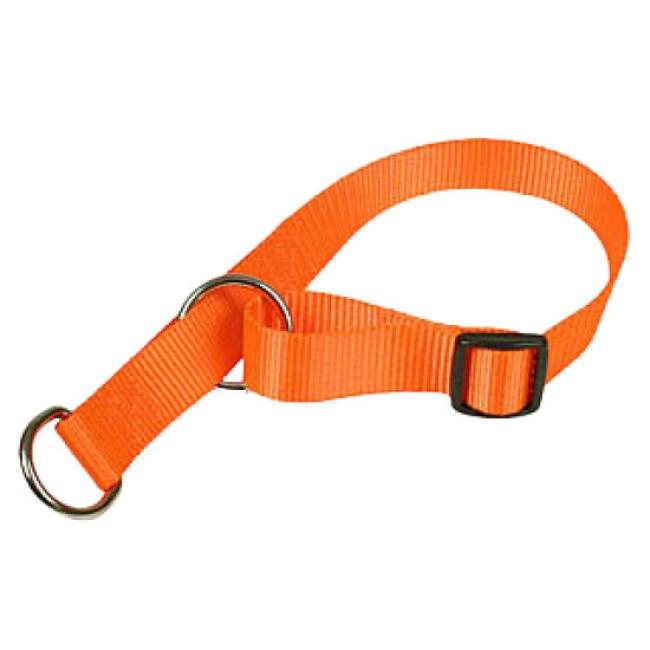 Collier semi-étrangleur pour chien - coloris orange fluo