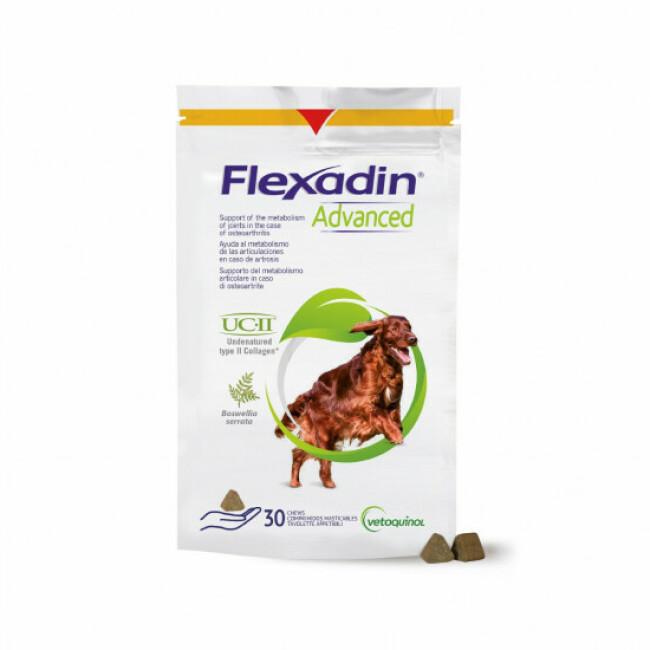 Comprimés Flexadin Advanced Boswelia pour chien