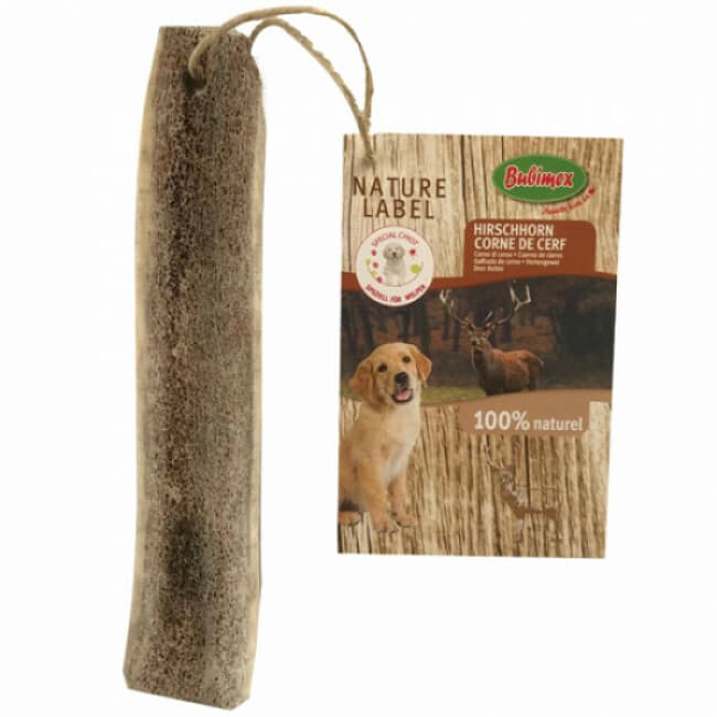 corne de cerf de différentes tailles pour chien