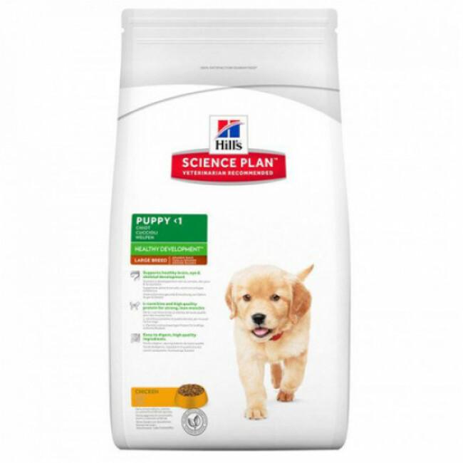 Croquettes Hill's Science Plan Canine Puppy Large Breed poulet