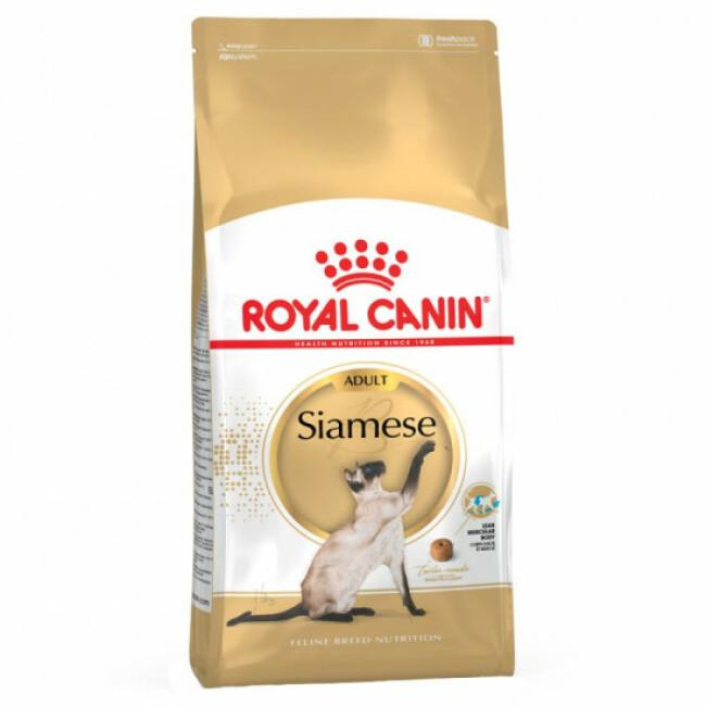 Croquettes pour chat adulte Royal Canin Siamois 38